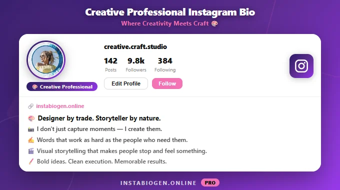 Creative Professional Instagram Bio